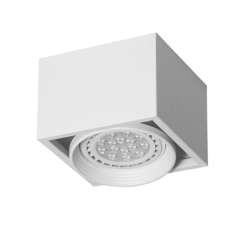 PLAFON MODULO LED AR111 1 LUZ G1